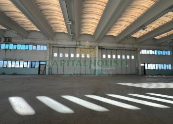 Capannone Cento - foto 16