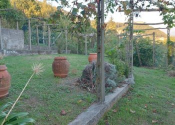 po7.jpg - Terratetto - Terracielo Podenzana - foto 7