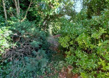 au23.jpg - Villa Aulla - foto 23