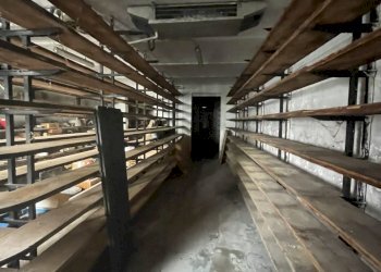 IMG_4518.jpg - Farm Via al Serraglio 35, Colorno - photo 11