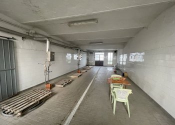 IMG_4522.jpg - Farm Via al Serraglio 35, Colorno - photo 12