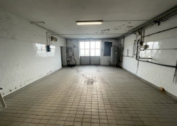 IMG_4526.jpg - Farm Via al Serraglio 35, Colorno - photo 14