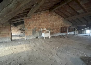 IMG_4549.jpg - Farm Via al Serraglio 35, Colorno - photo 29