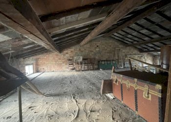 IMG_4550.jpg - Farm Via al Serraglio 35, Colorno - photo 30