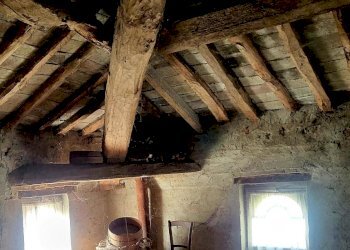 20231009_154836.jpg - Villa Strada Villa 36, Roccabianca - foto 13