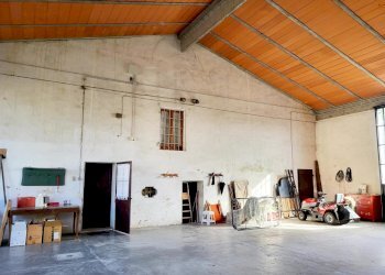 20231009_155404.jpg - Villa Strada Villa 36, Roccabianca - foto 14