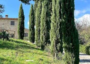 Rustico Volterra - foto 29