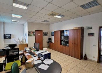 Capannone Soliera - foto 3