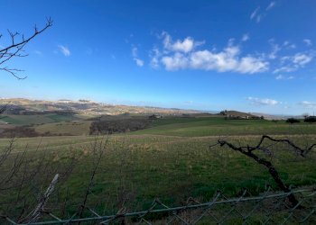 Independent house Monterubbiano - photo 3