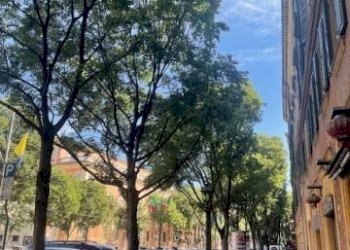 corso Vittorio Emanuele - Negozio corso Vittorio Emanuele II, Modena (zona Centro Storico) - foto 5