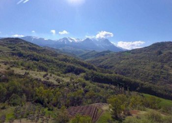 IMG-20240217-WA0007.jpg - Casa indipendente Farindola - foto 8