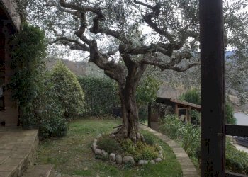 DJI_0033.JPG - Casa indipendente Farindola - foto 11