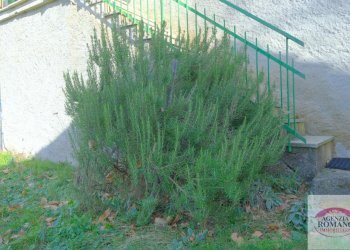 rif 1453(Copy52).jpg - Rustico Via Quai 10, Urbe - foto 10