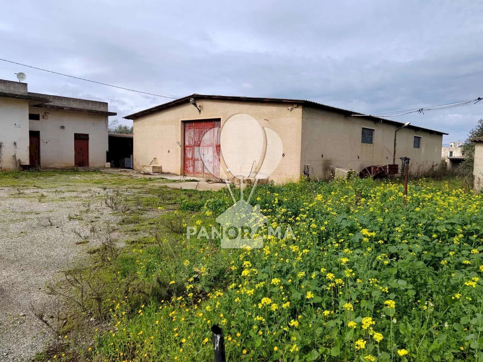 Azienda agricola Partinico - foto 3