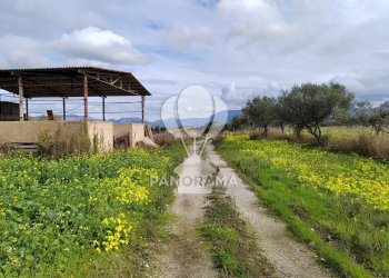 Farm Partinico - photo 5