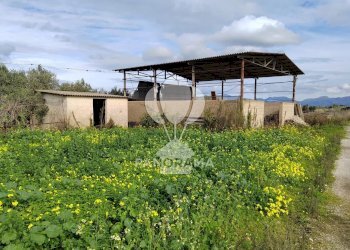Farm Partinico - photo 6