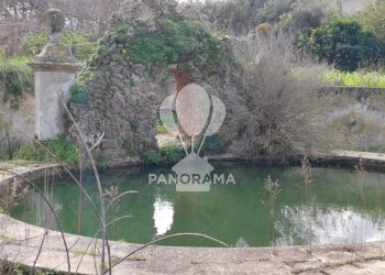 Farm Partinico - photo 7