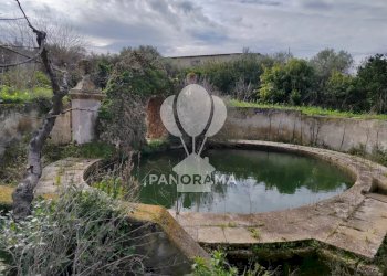 Farm Partinico - photo 8