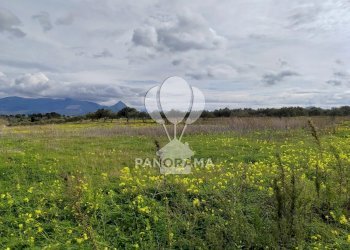 Farm Partinico - photo 9