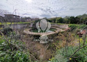 Farm Partinico - photo 10