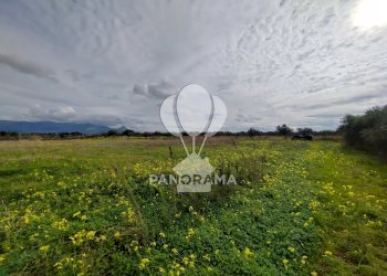 Farm Partinico - photo 11