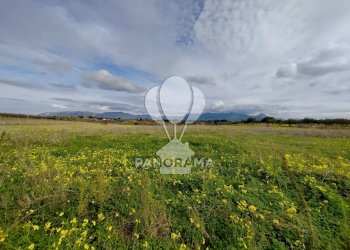 Farm Partinico - photo 12