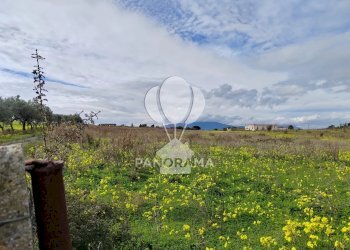 Farm Partinico - photo 13
