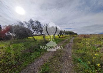 Farm Partinico - photo 14
