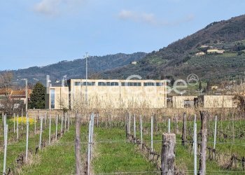 Capannone Lucca (zona Mutigliano) - foto 1