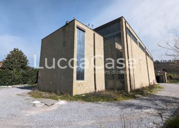 Capannone Lucca (zona Mutigliano) - foto 2