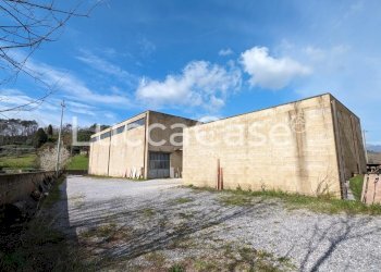 Capannone Lucca (zona Mutigliano) - foto 3