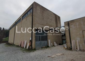 Capannone Lucca (zona Mutigliano) - foto 6