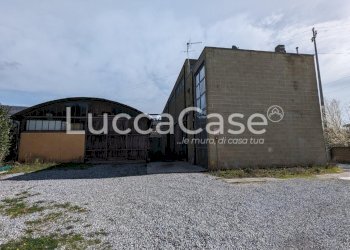 Capannone Lucca (zona Mutigliano) - foto 8