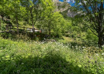 Baita Borgata Preit, Snc, Canosio - photo 47