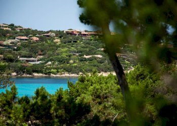 Trilocale Porto Cervo - Cala Granu, Arzachena - foto 3