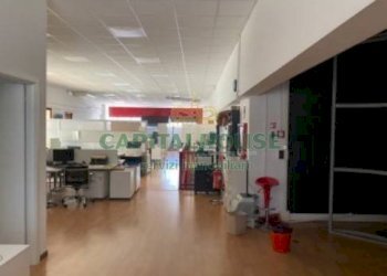 Capannone Bologna - foto 6