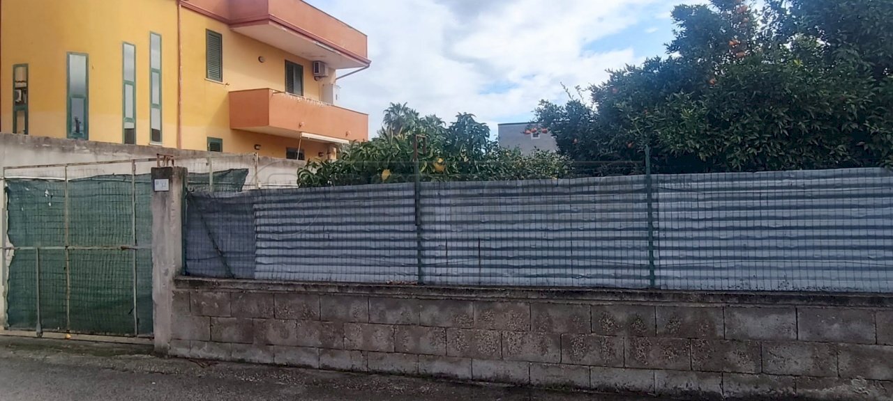 WhatsApp Image 2024-03-01 at 16.43.42.jpeg - Terreno edificabile Via Pisa, Marcianise - foto 2