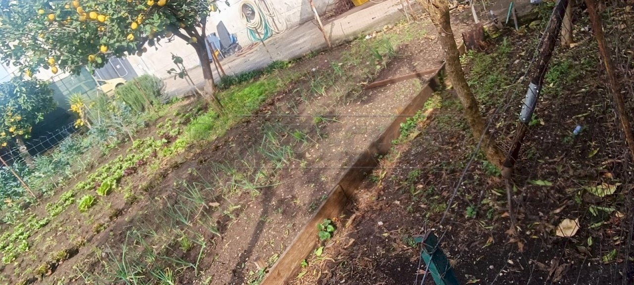 WhatsApp Image 2024-03-01 at 16.43.43 (1).jpeg - Terreno edificabile Via Pisa, Marcianise - foto 3