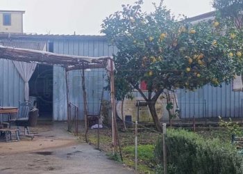 WhatsApp Image 2024-03-01 at 16.43.43 (5).jpeg - Terreno edificabile Via Pisa, Marcianise - foto 6