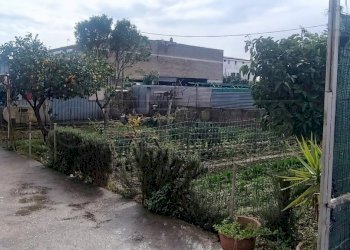 WhatsApp Image 2024-03-01 at 16.43.43.jpeg - Terreno edificabile Via Pisa, Marcianise - foto 7