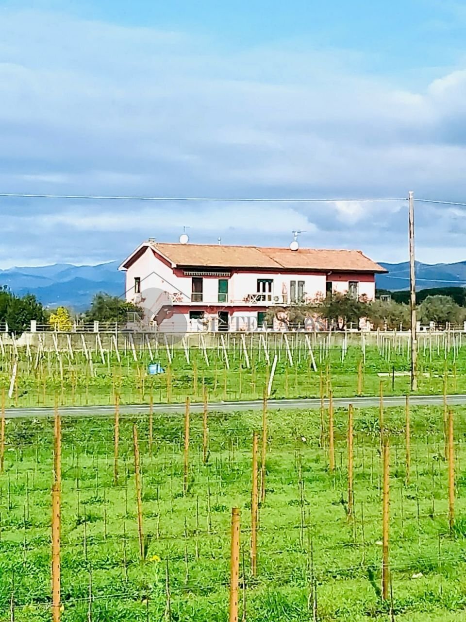 WhatsApp Image 2024-03-01 at 09.46.32 (4).jpeg - Quadrilocale Via della Stazione, Luni - foto 1