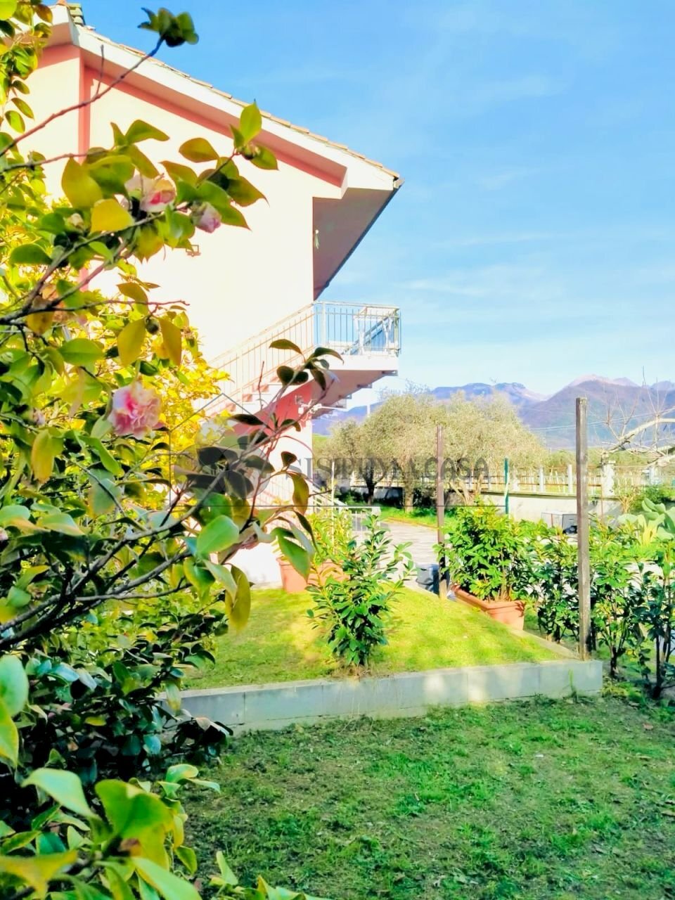 WhatsApp Image 2024-03-01 at 09.46.29.jpeg - Quadrilocale Via della Stazione, Luni - foto 2