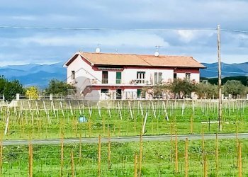 WhatsApp Image 2024-03-01 at 09.46.32 (4).jpeg - Quadrilocale Via della Stazione, Luni - foto 1