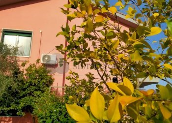 WhatsApp Image 2024-03-01 at 09.46.28 (1).jpeg - Quadrilocale Via della Stazione, Luni - foto 6