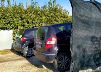 WhatsApp Image 2024-03-01 at 09.46.32 (2).jpeg - Quadrilocale Via della Stazione, Luni - foto 19