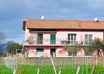 WhatsApp Image 2024-03-01 at 09.46.29 (3).jpeg - Quadrilocale Via della Stazione, Luni - foto 3