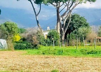 WhatsApp Image 2024-03-01 at 09.46.33.jpeg - Quadrilocale Via della Stazione, Luni - foto 20