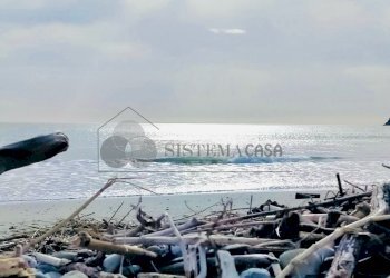 WhatsApp Image 2024-03-01 at 09.46.31 (2).jpeg - Quadrilocale Via della Stazione, Luni - foto 24