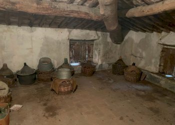 villa antica inv endita a Lucca (28).jpg - Villa Via del Macennere 8252/A, Lucca - foto 19