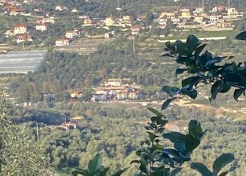 2.jpg - Terratetto - Terracielo Via Clavi, Imperia - foto 2